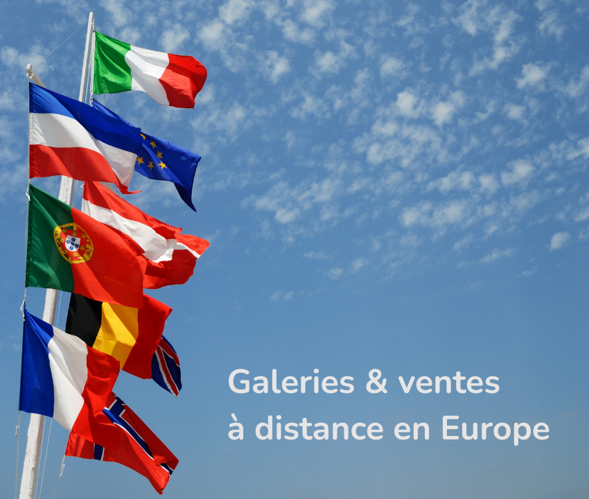 Solution Vente à Distance services expertise comptable en ligne